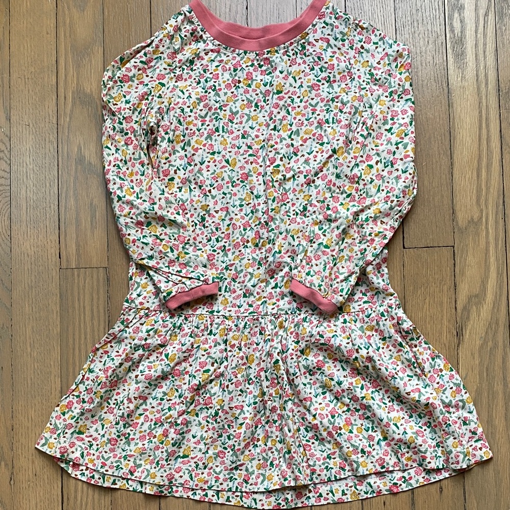 Hanna Andersson Pink Floral Dress Sz 110 / US 5